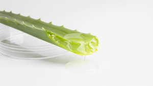 Aloe vera gel for the face: use, benefits and harm